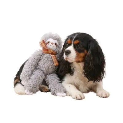Cute Grey Sloth Style Hangable Squeaky Crinkly Dog Companion Toy