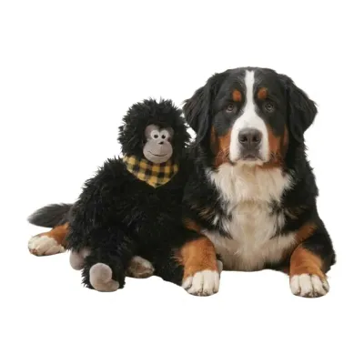 Cute Black Ape Style Hangable Squeaky Crinkly Dog Companion Toy