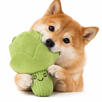 Dog biting green artichoke plush toy showing interactive squeaky dog toy usage