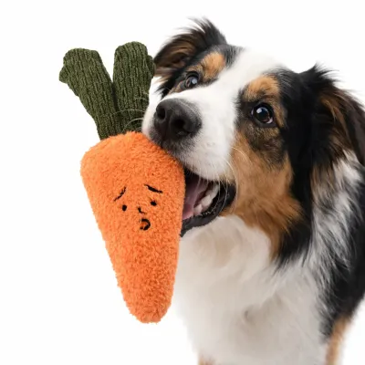 Carrot Plush Dog Toy Squeaky Soft Pet Toy Wholesale Supplier Soft carrot plush dog toy with squeaker for interactive play suitable for pet supplies wholesale and retail