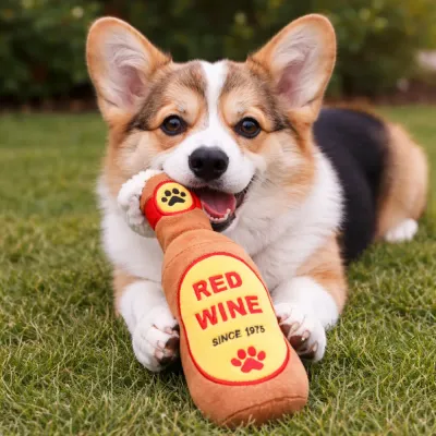 Corgi Playing with Plush Dog Toy Outdoors corgi playing with red wine plush dog toy on grass outdoor fun pet toy