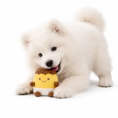 dog-playing-with-plush-squeaky-toy-soft-pet-toy-white-background dog chewing plush squeaky toy soft dog toy interactive play white background