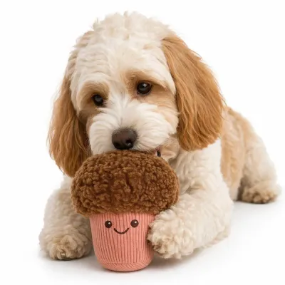 Dog Playing Cupcake Plush Toy White Background dog playing with cupcake plush squeaky toy on white background