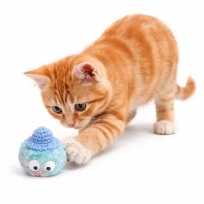 Interactive Pom Pom Cat Toy for Kittens – Soft Plush Ball orange kitten playing with pom pom cat toy soft plush interactive ball