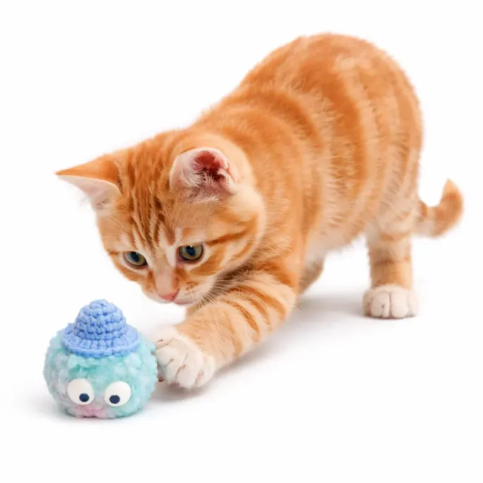 orange kitten playing with pom pom cat toy soft plush interactive ball