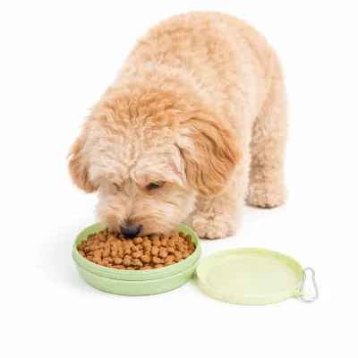 Portable Collapsible Dog Bowl for Travel Feeding dog eating food from portable collapsible dog bowl for travel outdoor feeding