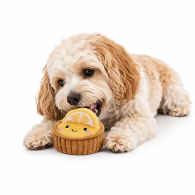 dog chewing lemon tart plush squeaky toy white background