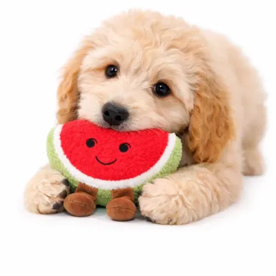durable dog chew toy watermelon plush for puppies petfairs wholesale puppy chewing watermelon plush dog toy bite resistant soft squeaky toy for small dogs