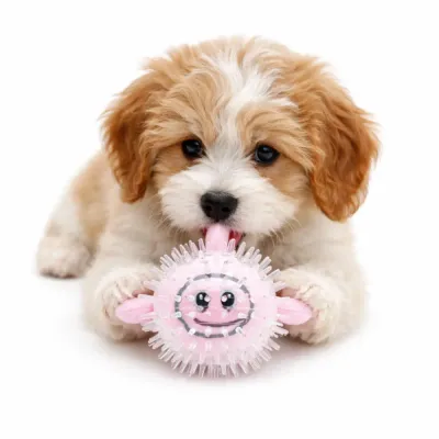 Cute Squeaky Dog Toy for Puppies Pink Spiky Ball puppy playing with pink squeaky spiky dog toy soft chew toy for small dogs