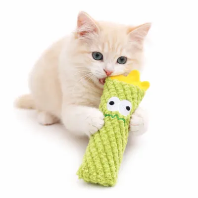 Cat Playing with Light Green Catnip Cactus Plush Toy Bulk kitten playing with light green catnip cactus plush toy interactive soft cat toy