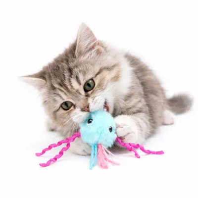 cat playing with plush octopus catnip toy interactive kitten toy soft pet toy