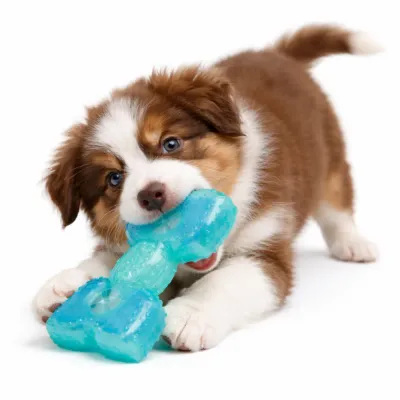 puppy chewing blue frozen dog toy for teething durable pet chew toy