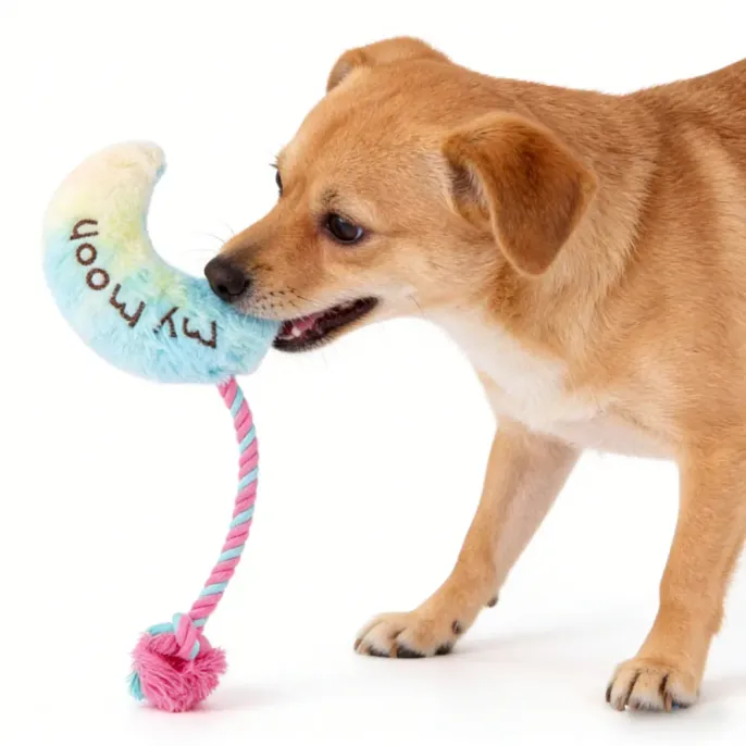 Dog Chewing Plush Rope Toy – Interactive Dog Toy Close-Up small dog biting plush rope toy interactive chew toy for dogs close up