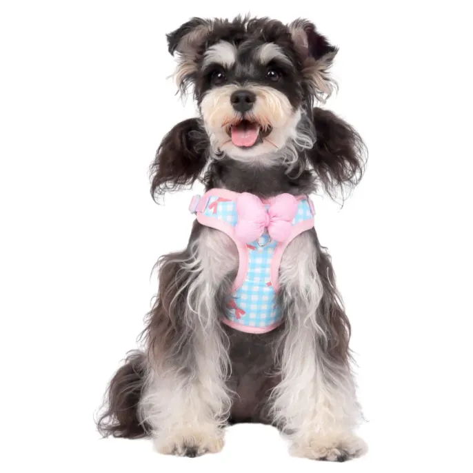 small dog wearing cute bowtie harness soft breathable adjustable pet harness