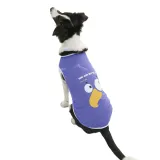 Dog Wearing Purple Mesh Clothes Breathable Summer Pet Apparel Petfairs dog wearing purple breathable mesh clothes lightweight summer pet apparel outdoor