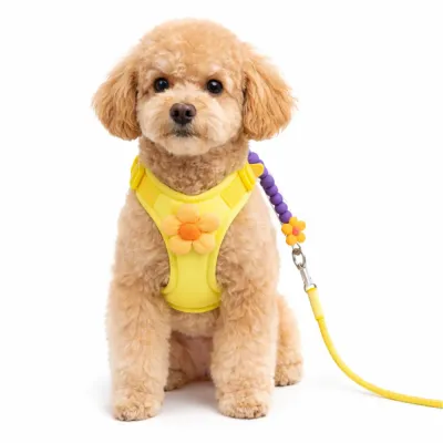 Cute Dog Harness Set with Flower Design for Small Dogs | Petfairs small dog wearing yellow flower dog harness set with leash breathable adjustable