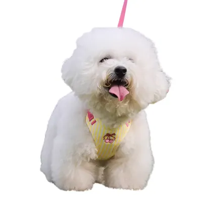 Soft Dog Vest Harness for Small Dogs Breathable Stripe Design | Petfairs small dog wearing soft breathable vest harness striped design cherry pattern comfortable fit
