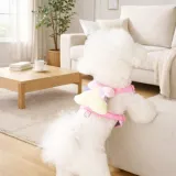 small dog wearing pink harness standing on sofa in living room comfortable fit