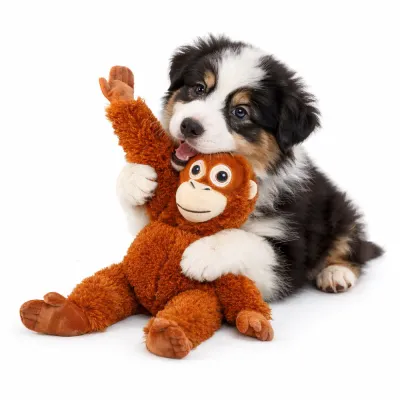 puppy playing with plush orangutan dog toy soft interactive chew toy