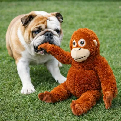 Dog Playing with Plush Orangutan Toy Outdoor | Durable Pet Toy dog playing with plush orangutan toy outdoor interactive dog toy playtime