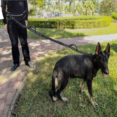 Outdoor Hands-Free Dog Leash Belt for Walking Large Dogs | Petfairs man walking large dog with hands free waist leash belt outdoor training leash