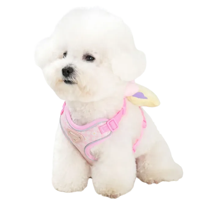 small white dog wearing pink adjustable dog harness with plush squeaky toy attached