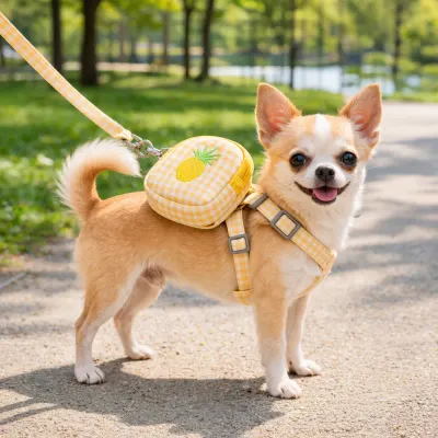 Small Dog Walking with Fruit Harness Set Outdoor Pet Leash small dog wearing yellow fruit harness walking outdoors with leash comfortable pet walking set