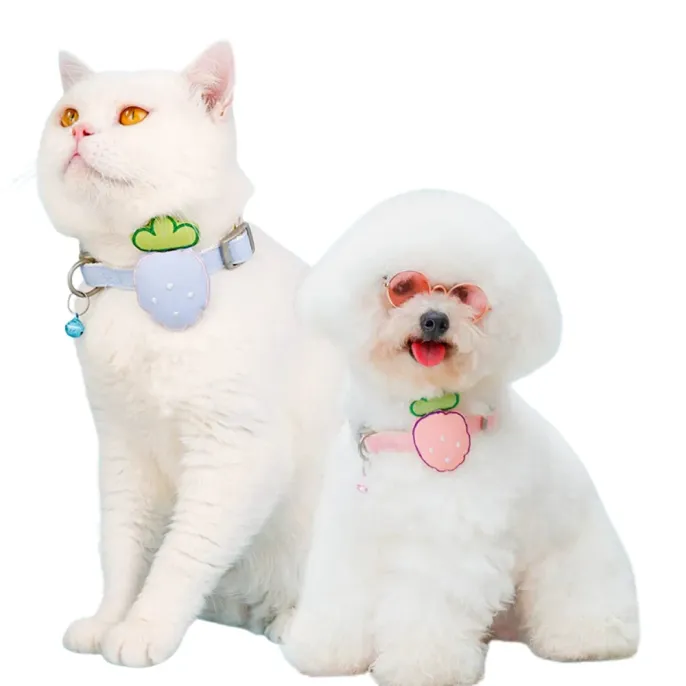 Cute Strawberry Cat Bell Collar for Cats & Small Dogs | Petfairs cat and small dog wearing strawberry bell collar soft adjustable pet collar cute design
