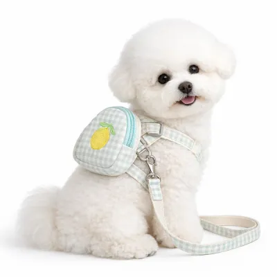 Fruit Dog Harness with Pouch for Small Dogs Outdoor Walking small dog wearing fruit series harness with pouch and leash mint green cute dog harness set