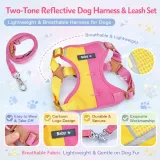 Alt: two tone reflective dog harness with breathable fabric secure buckle and leash