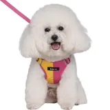small white dog wearing pink and yellow breathable dog harness with leash set