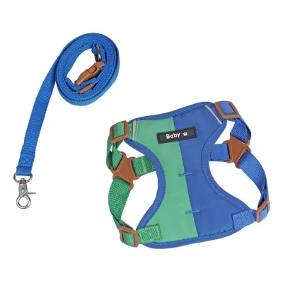 green and blue adjustable dog harness with matching leash set