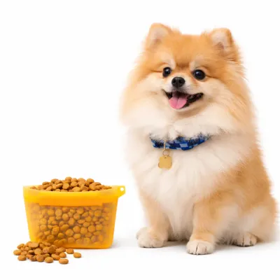 small dog next to silicone pet food pouch filled with kibble portable dog treat container