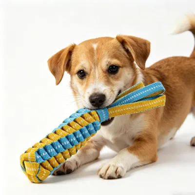 puppy playing with braided rope dog tug toy for chewing and interactive play