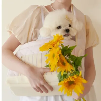 Stylish Pet Carrier Bag with Dog Outdoor Fashion Portable Pet Bag cute small dog in stylish pet carrier bag outdoor fashion portable dog travel bag