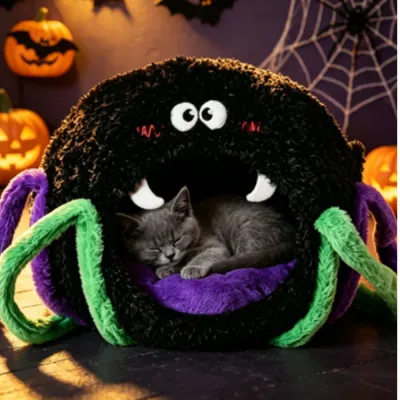 A tabby cat looking out from a spider pet bed surrounded by pumpkins, bats, and Halloween decorations.