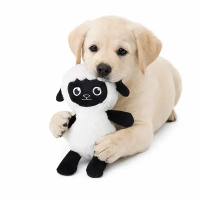 Plush Sheep Dog Toy for Puppies | Soft Chew Toy Bulk | Petfairs puppy playing with plush sheep dog toy soft chew interactive pet toy bulk wholesale