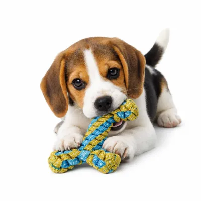 puppy chewing durable rope dog toy for teething and dental cleaning on white background