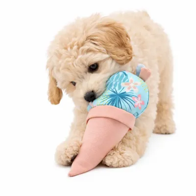 Puppy-Playing-with-Ice-Cream-Squeak-Toy A small cream-colored puppy biting a pink and blue plush ice cream cone toy on a white background.