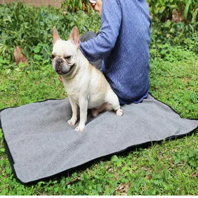 Portable Dog Mat Outdoor Use with Owner Travel Camping Pet Mat | Petfairs dog sitting on outdoor pet mat with owner portable foldable dog mat camping use