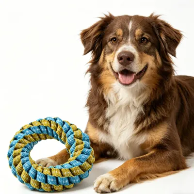 Glow in the Dark Dog Ring Toy for Interactive Play | Petfairs dog playing with glow in the dark braided ring toy for chewing and interactive training