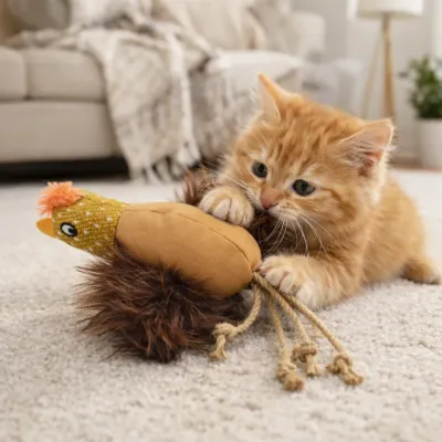 An orange ginger kitten playing with the chicken cat toy on a white rug in a cozy living room setting.