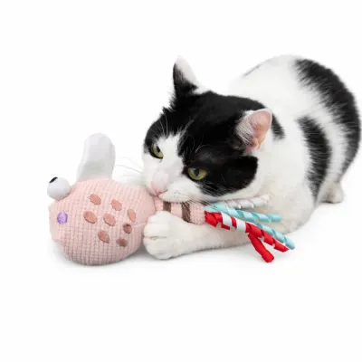 cat playing with interactive fish cat toy with catnip and ribbons on white background
