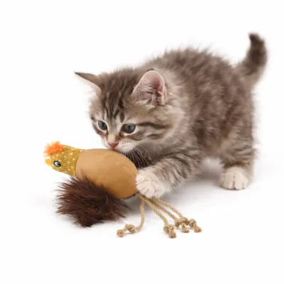 A fluffy grey tabby kitten pouncing on and biting a brown plush chicken toy with rope legs.