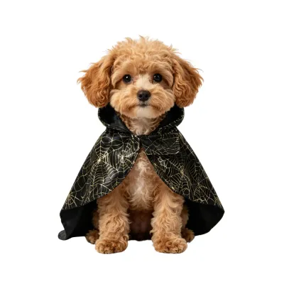 small dog wearing black spiderweb halloween cape costume cute pet outfit wholesale