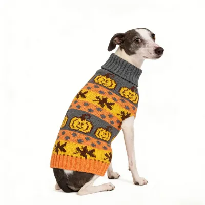 dog wearing halloween pumpkin sweater knit pet clothing for small dogs