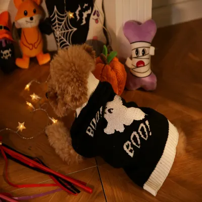 Dog Wearing Halloween Sweater Indoor Scene Cozy Pet Apparel Fall Season dog wearing halloween sweater indoor cozy scene pet clothes autumn seasonal outfit