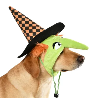dog wearing halloween witch hat costume side view green face cosplay pet accessory wholesale