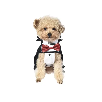 Vampire Dog Costume with Bow Tie - Pet Apparel White Background small dog wearing vampire costume with red bow tie pet clothing on white background