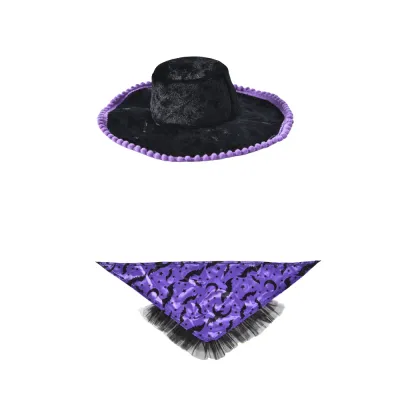 halloween pet costume set black velvet hat and purple bat bandana flat lay